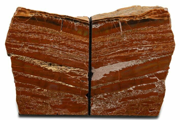 Tall, Arizona Petrified Wood Bookends - Brick Red #344123